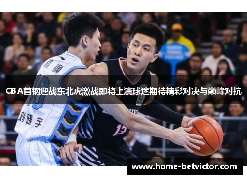 CBA首钢迎战东北虎激战即将上演球迷期待精彩对决与巅峰对抗
